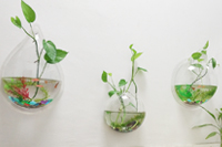 圣元電器別樣生活，綠意盎然